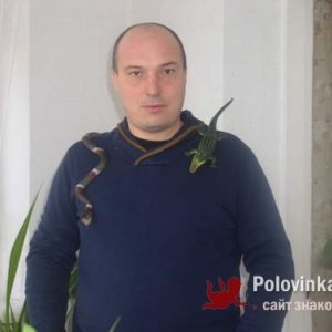 Алексей Закорчевный, 42 года